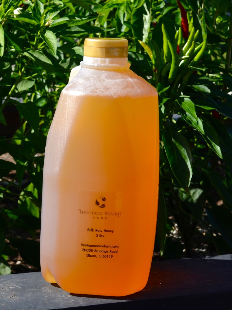  Raw Honey Lip Balm Browne Park Whitestone NY